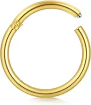 [DJCIW] Nose Rings 316L Hoop Septum Clicker Hinged Segment Ring Lip Ear Piercing Earrings for Cartilage Helix Tragus Conch Rook Body Piercing Jewewlry 14G 16G 18G 20G,Diameter 5mm to 14mm