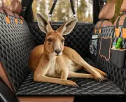 Hard Bottom Dog Car Seat Cover - Dog Car Seat Extender, Pet Car Hammock, Dog Car