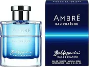 Baldessarini Ambre Fresh Eau de Toilette Spray for Men 90 ml