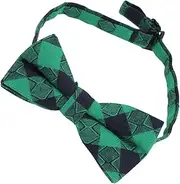 [WESIEVYA] Pre-tied Bow Tie Satin Kids Formal Neck Tie Set for Party Patrick's Day Decorations