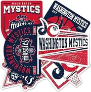 Desert Cactus Washington Mystics Stickers WNBA Women's National Basketball Association Officially Licensed Vinyl Decal Laptop Water Bottle Car Scrapbook (Type 2-3)