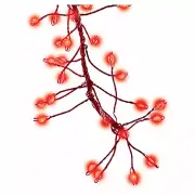 Holiday Bright Lights MICB-RD-216-CLRDT Micro Big Seed Cluster LED Light Set,