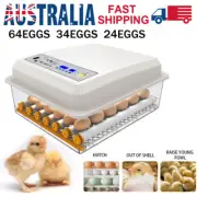 64 Egg Incubator Fully Automatic Digital Turning Chicken Duck Eggs Poultry