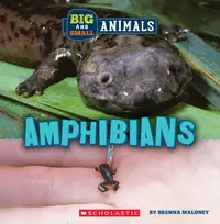 在飛比找誠品線上優惠-Amphibians (Wild World: Big an