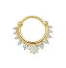 Jewelry Clicker Hoop Ring Body Jewelry Ear, Septum New