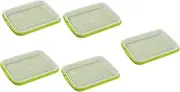 CIMAXIC 5Pcs Nursery Tray for Hydroponics and Germination Durable Sprouting Basin for Greenhouse for Grass Radish and Salad Leaves