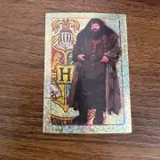 2001 Harry Potter and the Philosopher's Stone Album Stickers Rubeus Hagrid #54