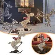 Outdoor Christmas Figure Led Skiing Moose Garden Decoration Plug In Timer