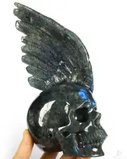 7.7" Labradorite Carved Crystal Skull & Wings, Realistic