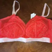 We Are HAH Free People On Point Bra In Blood Orange 30-38C NWT Push Up Padded