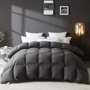 L LOVSOUL Goose Feather Down Fiber Comforter Queen Size, 100% Organic Cotton ...
