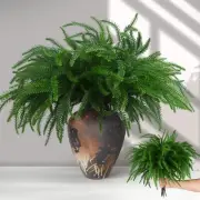 12Pcs Christmas Norfolk Pine Stems,Real Touch Artificial Norfolk Pine Branche...