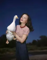 American actress Wanda Hendrix holding a duck circa 1945 Historic Old Photo