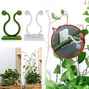 20 Pieces Invisible Wall Rattan Clamp Plant Climbing Wall Self-Adhesive Fixator Vine Buckle Hook Rattan Fixed Clip Bracket Plant Stent Support
