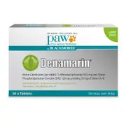 Nutramax Denamarin Tablets Large 30 pack