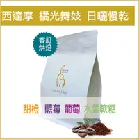 在飛比找PChome24h購物優惠-【嵐山咖啡象】客烘衣索比亞 西達摩 班莎龐貝村 橘光舞妓日曬