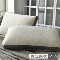 在飛比找momo購物網優惠-【PJ】天絲4D獨立筒透氣枕(2入)