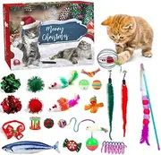Cat Advent Calendar 2024, 24 Days Cat Toy Countdown Calendar Christmas Toys for Kitten with Catnip Toys, Mice, Cat Feather Teaser and Ball Bells Xmas Gifts for Cat Lovers