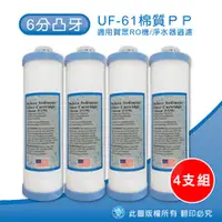 在飛比找水蘋果購物中心優惠-6分凸牙 UF-61 5uPP 濾心(4支組)-水蘋果專業淨