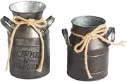 Cabilock 2pcs Vintage Style Flower Bucket Retro Iron Plant Container Decorative Home Office Decor
