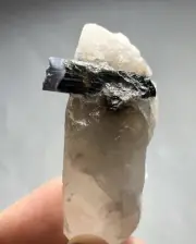 215 Carat Tourmaline Crystal Specimen From Afghanistan