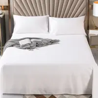 在飛比找蝦皮商城優惠-旅行趣五星級大飯店民宿 平單式床單 隔離單 白色平織紋 1公