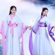 Lady Hanfu Suit Ruqun Chinese Tang Dynasty Costume Folk Dance Dress Traditional