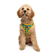 FuzzYard What's Quackalackin' Step In Dog Harness Green