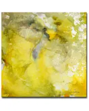 Ready2HangArt Glimmer I Wrapped Canvas Wall Art by Norman Wyatt