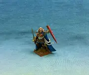 25mm Warhammer WGS Painted High Elf Althran HE123