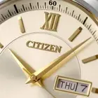 CITIZEN NY4057-63P Citizen Collection Mechanical Automatic Mens Watch NEW F/S