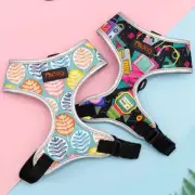 Dynamic Duo Cat Walking Set