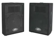 Brand New Peavey PVI 10 Speaker! -LL