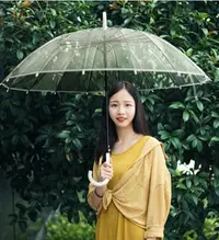 在飛比找樂天市場購物網優惠-雨傘透明雨傘長柄傘女小清新少女心大號白色雙人折疊