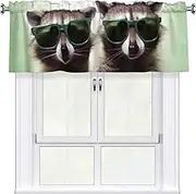 LHBWCVN Funny Raccoon Green Sunglasses Valances for Windows, Rod Pocket Window Treatment Drapes Farmhouse Kitchen Curtains Short Blackout Window Curtains for Living Room Bedroom Decor 54x18 Inch