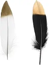 10pcs/Lot Wedding Party Gold Feathers for Craft DIY Natural Colored Dipped Golden Feather Home Christmas Decoration White Black Gold