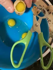 quail egg scissors PACK OF 2