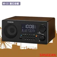 在飛比找蝦皮商城精選優惠-公司貨 SANGEAN WR-22 數位音響 藍牙喇叭 FM