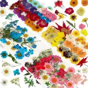 2X(144PCS Natural Dried Pressed Flowers for Resin,Dry Flower Bulk Natural8707
