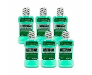 6PK Listerine Antibacterial Mouthwash 250ml Oral Mouth Freshener Freshburst