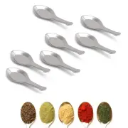 Stainless Steel Masala Spoons For Small Containers Mini Spoon For Masala Dabba S