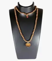 11 Mukhi Rudraksha Pendant from Nepal Attached In 5 Mukhi Rudraksha Mala