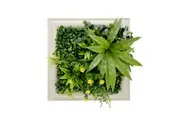 YES4HOMES 3D Green Artificial Plants Wall Panel Flower Wall With Frame Vertical Garden UV Resistant 33X33CM Flourishing Spring