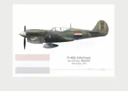 Warhead Illustrated P-40N Kittyhawk 120 Sqn RNEIAAF SNAFU Aircraft Print