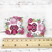 5 pc. OWL You're a hoot Planar Resin Flatback Hair Bow Center 1060842