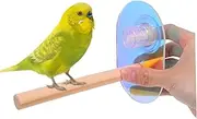 Totority Suction Cup Bird Perch Stand: Parrot Rest Platform for Small and Medium Birds - Parakeet Grinding Perch - Window Use Wood Stand For Bird