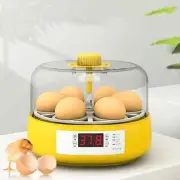 Automatic 6 Eggs Incubator Fully Automatic Turning Digital Temp Control