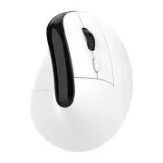 Wireless Vertical Ergonomic Mouse,USB-C Rechargeable, 4000DPI, Silent, Carpal...