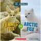 Fennec Fox or Arctic Fox (Hot and Cold Animals)/ Marilyn Easton 文鶴書店 Crane Publishing