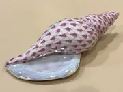 Herend Figurine - Sea Snail Tulip Shell 15535 - Raspberry / Pink Fishnet